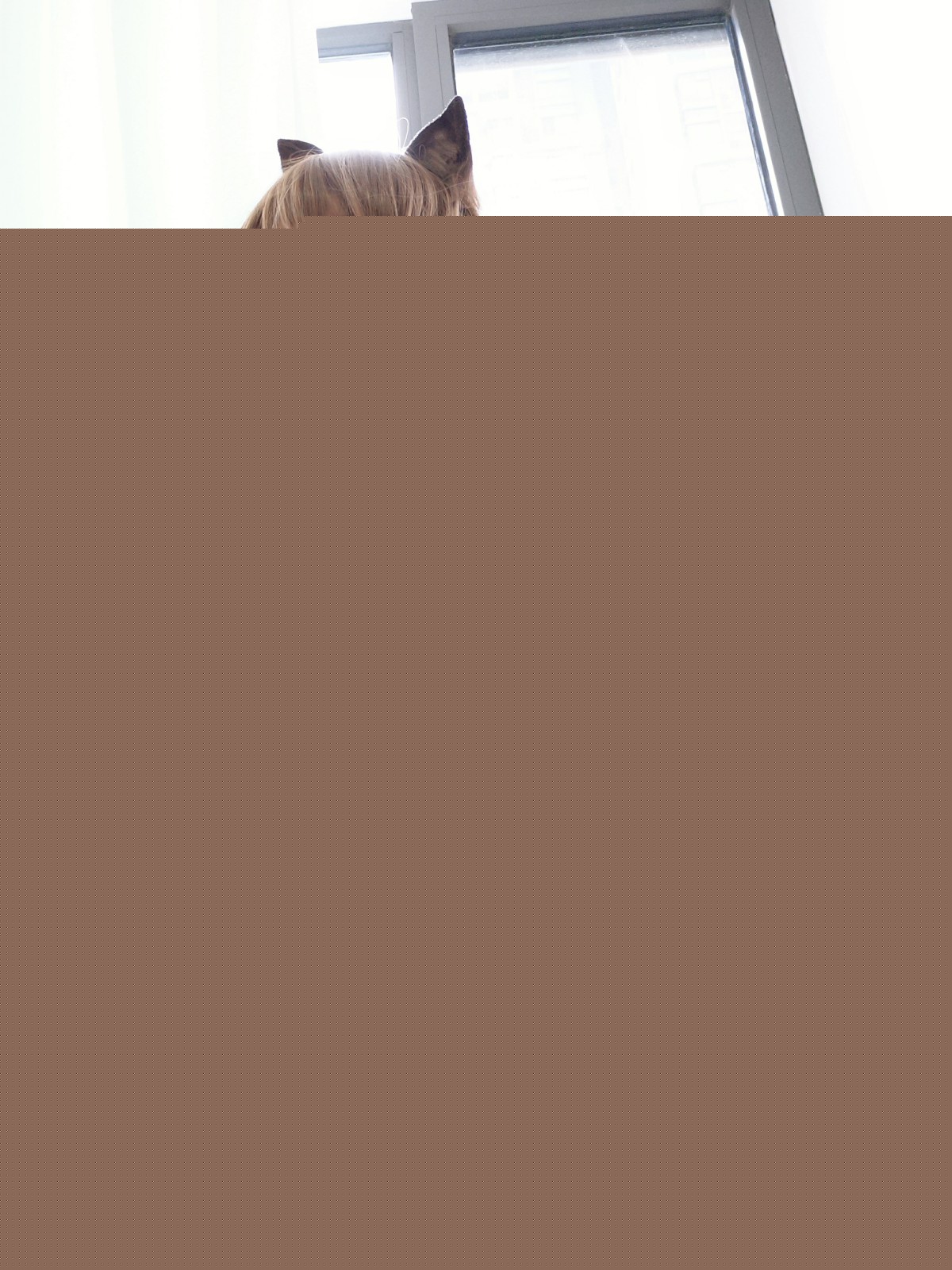 图片[47]-一小央泽 – 明日方舟（天火） – COSPLAY-御萝部落